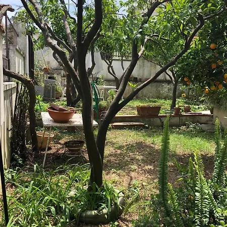 Casa Sonia *